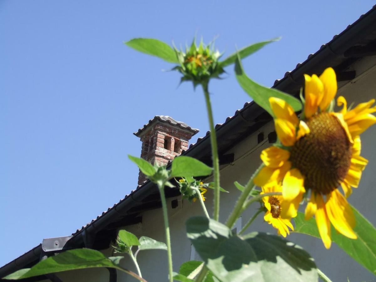La Meridiana, Monolocale In Cascina Ristrutturata Boves Kültér fotó